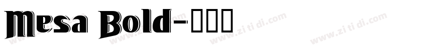 Mesa Bold字体转换